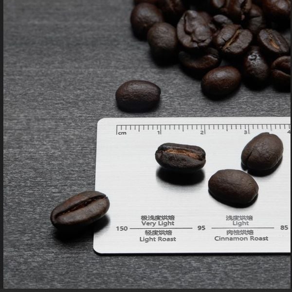 Thước Đo Độ Nhuyễn Bột Cà Phê 15 Mức Bằng Thép Không Gỉ MUVNA | Coffee Grind Size Reference Chart