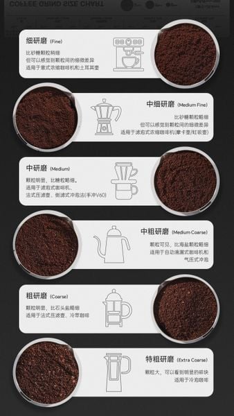 Thước Đo Độ Nhuyễn Bột Cà Phê 15 Mức Bằng Thép Không Gỉ MUVNA | Coffee Grind Size Reference Chart