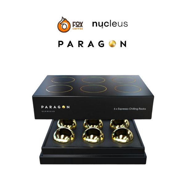 Bộ Đá Lạnh Vĩnh Cửu Chilling Rock Thay Thế Dùng Cho Bộ Giá Đỡ Chiết Xuất Espresso | Paragon Chilling Rock for Espresso - Nucleus Coffee Tools