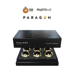 Bộ Đá Lạnh Vĩnh Cửu Chilling Rock Thay Thế Dùng Cho Bộ Giá Đỡ Chiết Xuất Espresso | Paragon Chilling Rock for Espresso - Nucleus Coffee Tools