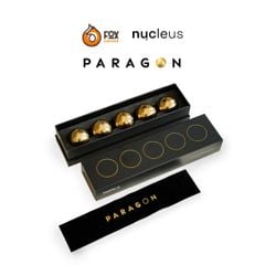 Bộ Đá Lạnh Vĩnh Cửu Chilling Rock Thay Thế Dành Cho Giá Đỡ Phễu Pha Cà Phê Paragon | Paragon Filter- Chilling Rocks 5-Pack - Nucleus Coffee Tools (Pre-order)