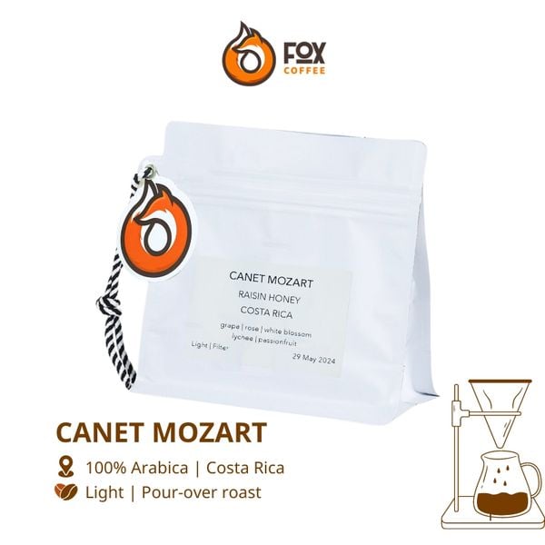 Cà Phê Hạt Canet Mozart 150g | Costa Rica Fox Coffee Beans