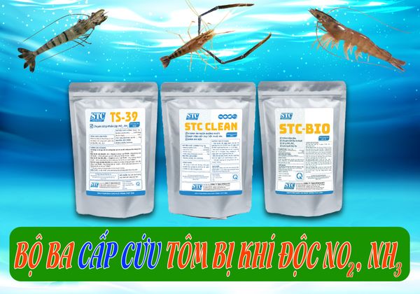 TS-39 & STC BIO & STC CLEAN - Bộ ba cấp cứu khi tôm bị khí độc NH3, NO2.