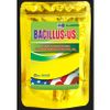 BACILLUS-US Vi sinh xử lý phèn, xử lý nước, bùn hữu cơ