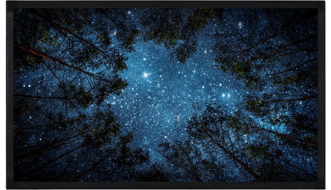 Màn hình tương tác Vestel 55 | IFM55