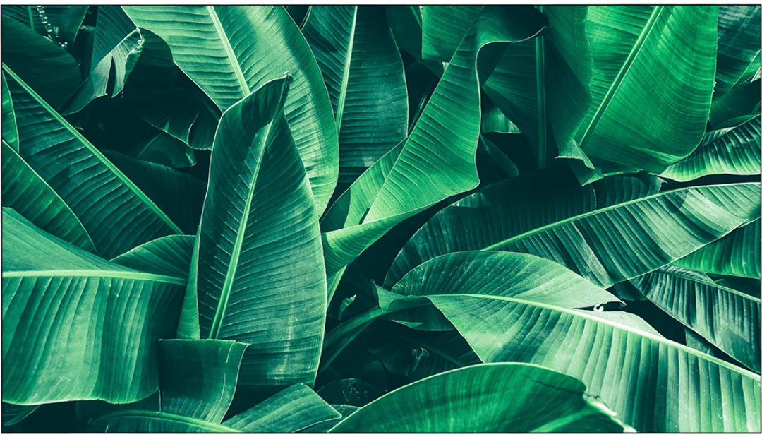 Màn hình ghép Vestel WW55 | 500 nits 1.8mm MB135VS 24/7