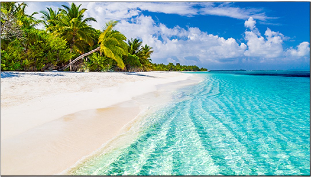 Màn hình ghép Vestel WY55 | 500 nits 0.88mm MB135VS 24/7