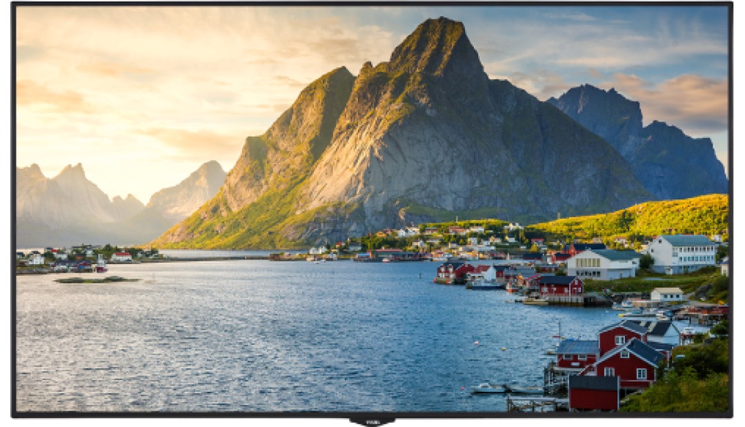 Màn hình LED VESTEL PDM43 | 43495 DLED FHD 400 MB135VS 24/7