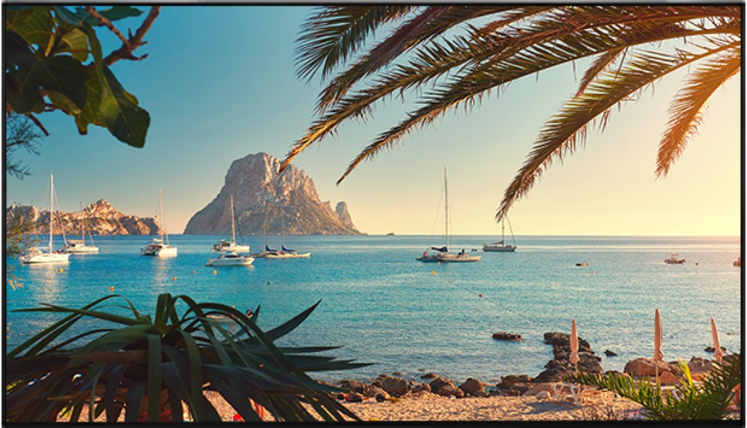 Màn hình LED VESTEL QF55 | 55592 ELED UHD 500 MB135VS 16/7