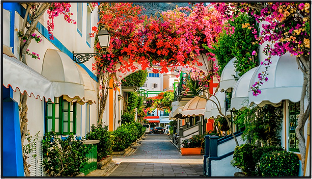 Màn hình LED VESTEL XN86+ | 86598 ELED UHD 500 MB135VS 24/7