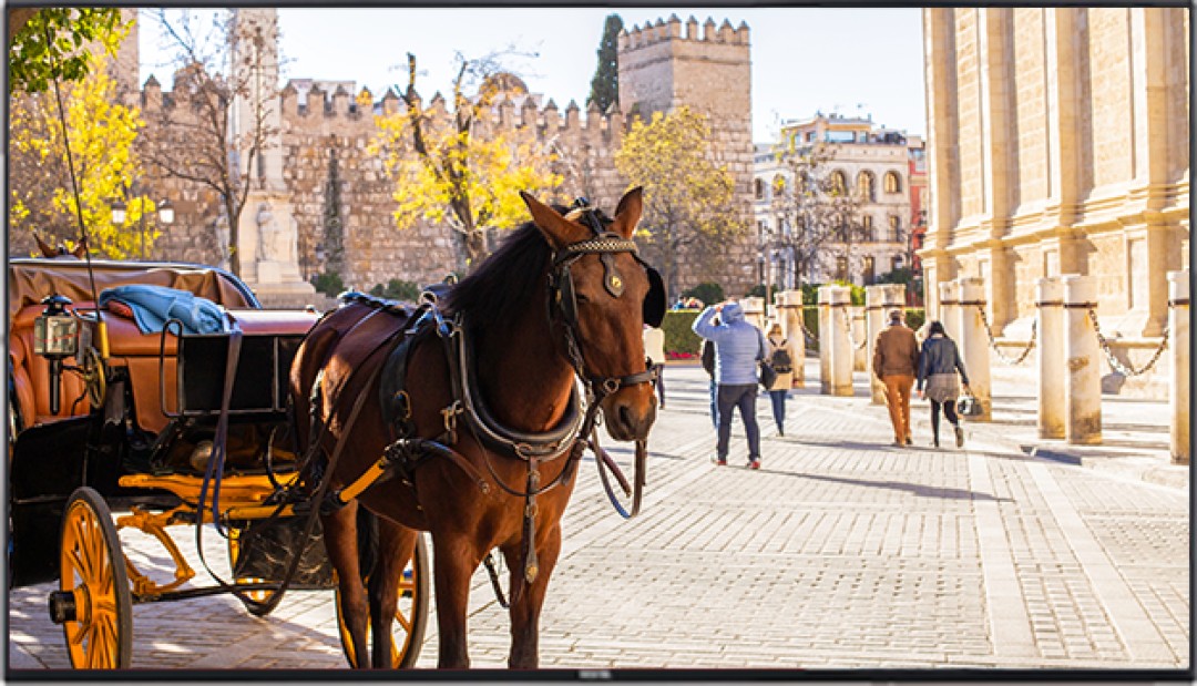 Màn hình LED VESTEL VB55 | 55405 ELED UHD 350 MB135VS 16/7