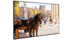 Màn hình LED VESTEL VB55 | 55405 ELED UHD 350 MB135VS 16/7