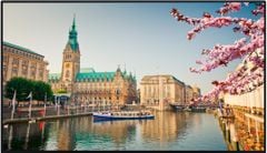 Màn hình LED VESTEL PN55 | 55695 DLED UHD 500 MB135VS 24/7