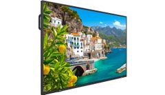 Màn hình tương tác Vestel model DB75A-6N