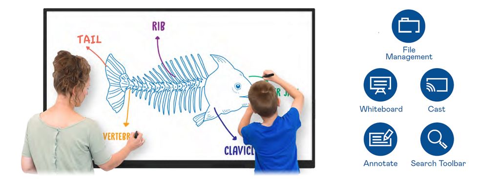 Màn hình tương tác AUO 65 inch
