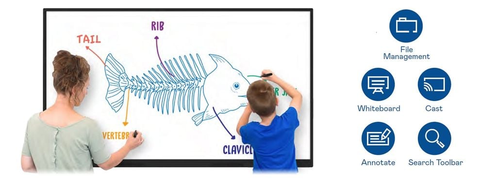 Màn hình tương tác AUO 75 inch