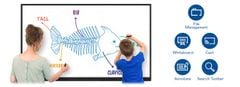 Màn hình tương tác AUO 75 inch