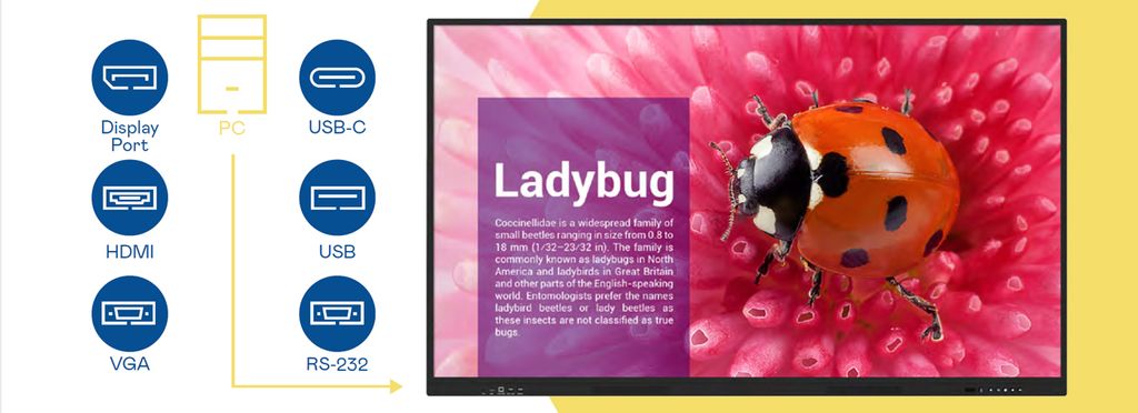 Màn hình tương tác AUO 86 inch