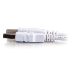 Cáp USB 2.0 A/B 5m C2G Legrand - Màu trắng