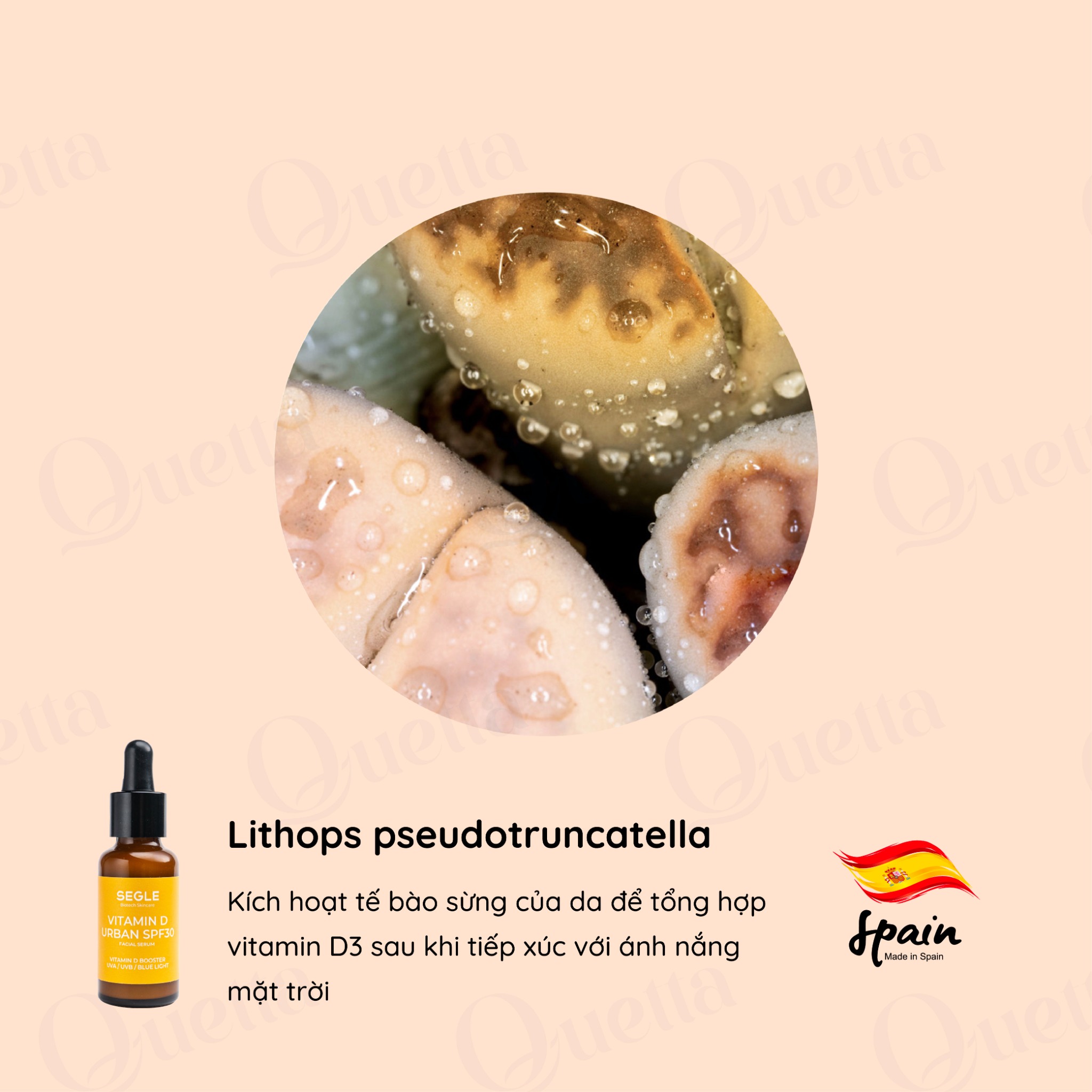 Vitamin D Urban Serum SPF30 Serum chống nắng và kích thích tổng hợp