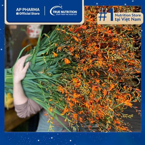  Hoa Dơn Lúa: Ý Nghĩa, Cách Trồng, Độ Bền, Giá, Nơi Mua, Cách Cắm Hoa 