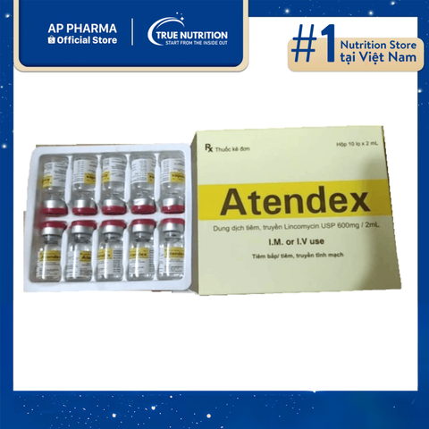  Thuốc Atendex 600mg/2ml: Là Thuốc Gì? Công Dụng, Cách Dùng Và Lưu Ý Sử Dụng 
