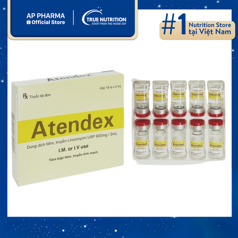  Thuốc Atendex 600mg/2ml: Là Thuốc Gì? Công Dụng, Cách Dùng Và Lưu Ý Sử Dụng 