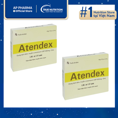  Thuốc Atendex 600mg/2ml: Là Thuốc Gì? Công Dụng, Cách Dùng Và Lưu Ý Sử Dụng 