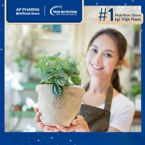  Cây Lá May Mắn (Fittonia): Hợp Mệnh Gì, Mua Ở Đâu, Ý Nghĩa Cây 