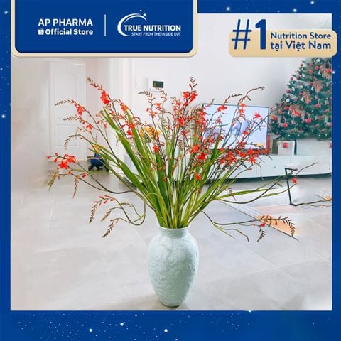  Hoa Dơn Lúa: Ý Nghĩa, Cách Trồng, Độ Bền, Giá, Nơi Mua, Cách Cắm Hoa 