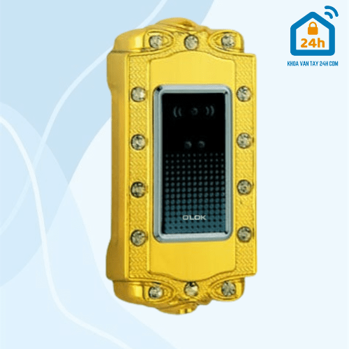 Khóa điện tử Tủ Đồ O'LOK C207