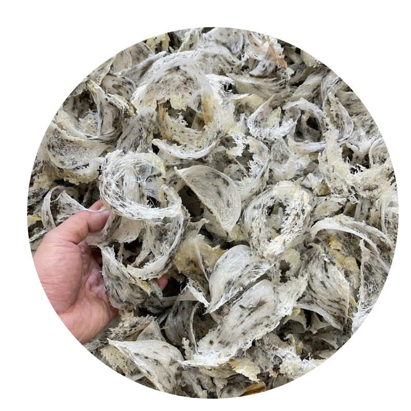 SP- Tổ yến thô thô Bể, 50G – SONG PHÁT
