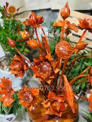 Phụ Kiện Đồ Gỗ - Bình Sen Hương Đỏ