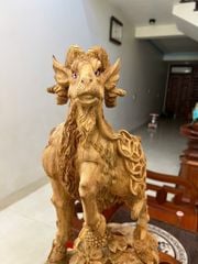 Tượng Linh Vật Nhất dương gỗ ngọc am đỏ chất gỗ già thơm liền khối Kt. Cao66. N32.s16