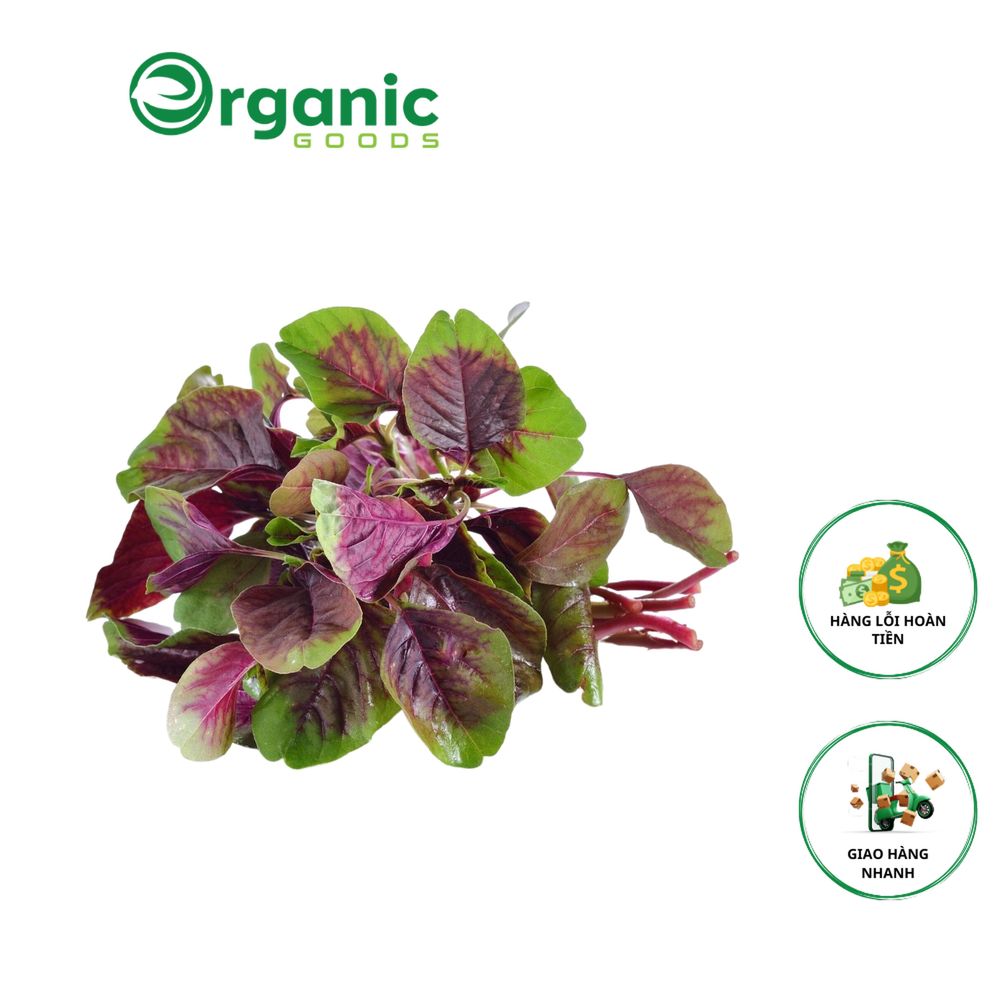 RAU DỀN ORGANIC – ORGANIC GOODS