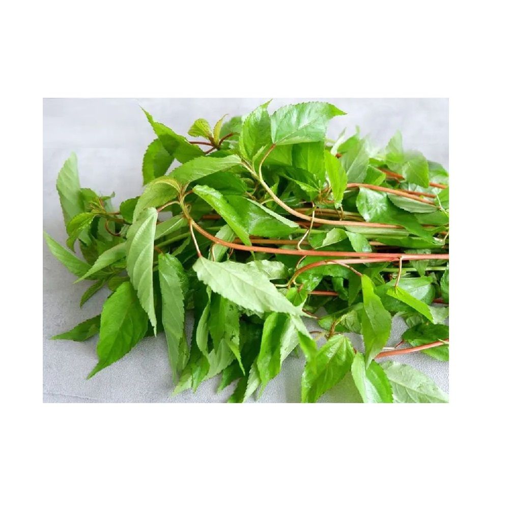 RAU ĐAY ORGANIC – ORGANIC GOODS