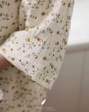  Mira Set - Hoa dây vàng 