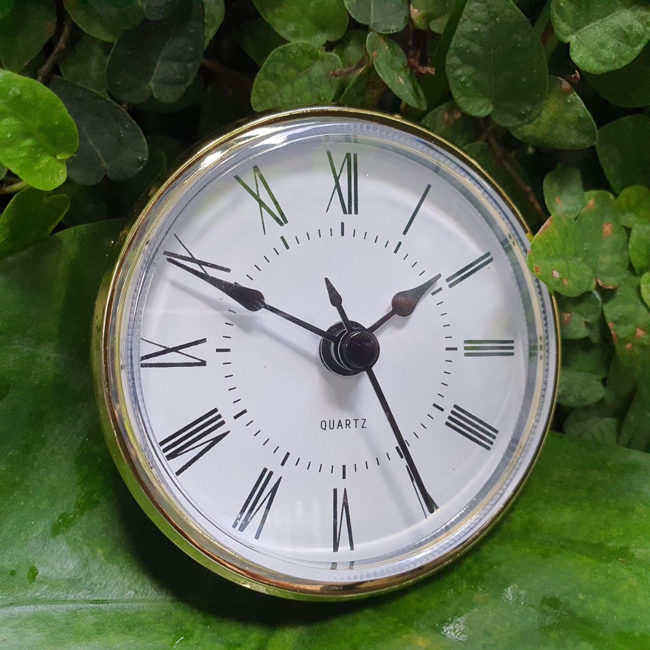  Bộ máy đồng hồ gắn đồng hồ để bàn gỗ, kính làm quà tặng đường kinh 70cm, xi vàng, bảo hành 2 năm 