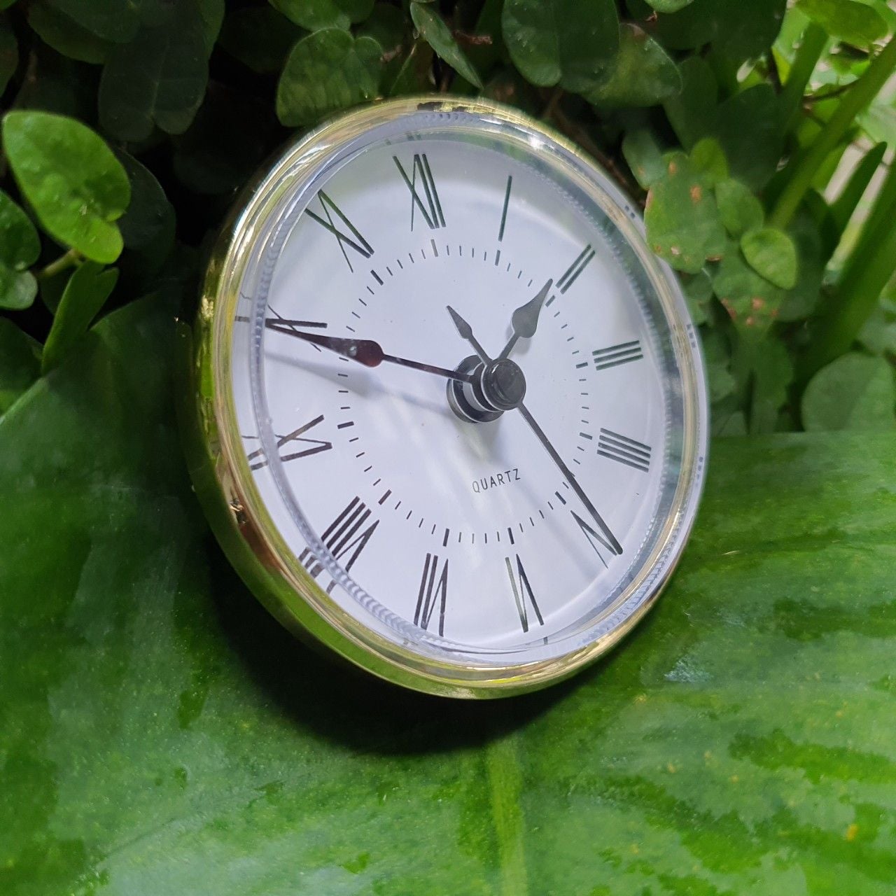  Bộ máy đồng hồ gắn đồng hồ để bàn gỗ, kính làm quà tặng đường kinh 70cm, xi vàng, bảo hành 2 năm 