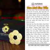  Bộ An Gia Hóa Sát 