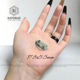  Siêu Phẩm Nhẫn Hoa Bay (Không Kén Mệnh) 