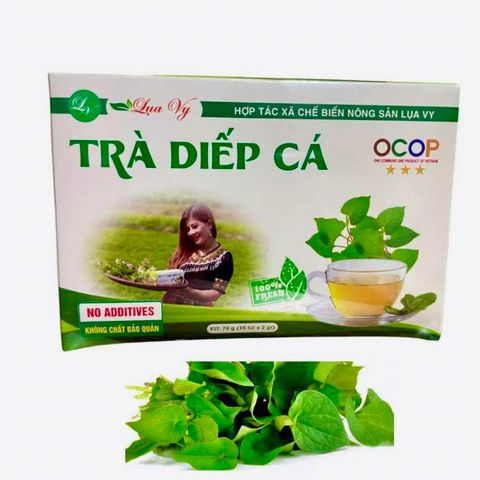  Trà diếp cá lụa vy 