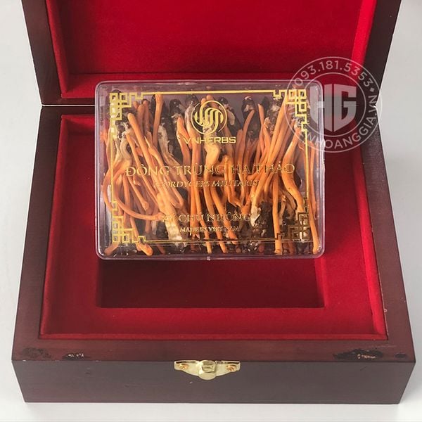 Đông trùng hạ thảo ký chủ nhộng VNherb hộp 40 con