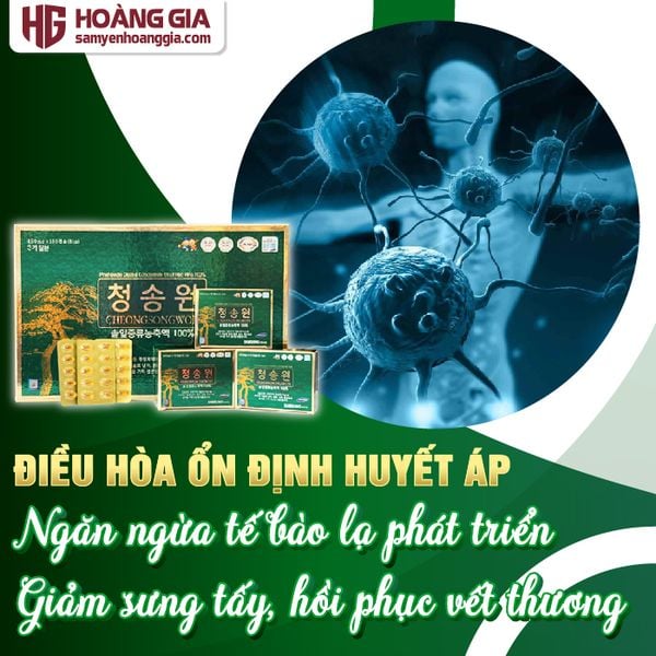 Viên tinh dầu thông đỏ CheongSongWon 180 viên hộp xanh