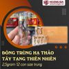 Đông Trùng Hạ Thảo Tây Tạng Thiên Nhiên 12 con 2.5gram Con trung