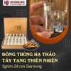 Đông Trùng Hạ Thảo Tây Tạng Thiên Nhiên 24 con 5gram Con trung