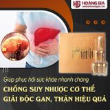 Đông trùng hạ thảo Tây Tạng thiên nhiên 30 con 10gr Con đại