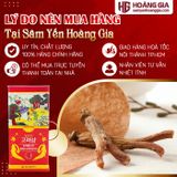 Sâm Củ Khô Hộp Thiếc Hàn Quốc Daedong hộp 300g 11-20 củ