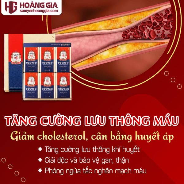 Hồng Sâm Lát Tẩm Mật Ong KGC Honeyed Slices 20g x 12 Hộp