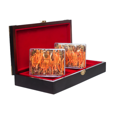 Đông trùng hạ thảo ký chủ nhộng thượng hạng hộp 80 con